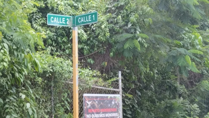 Esperan con vigilia fallo judicial sobre el ecoimpacto del monorriel