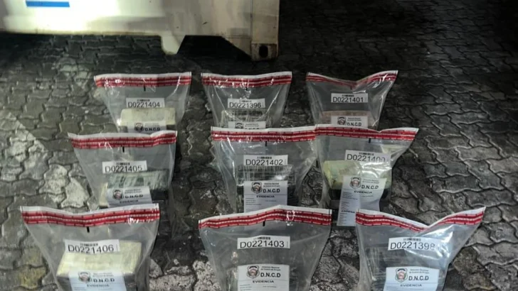 DNCD interviene 43 paquetes de presunta cocaína en puerto Caucedo
