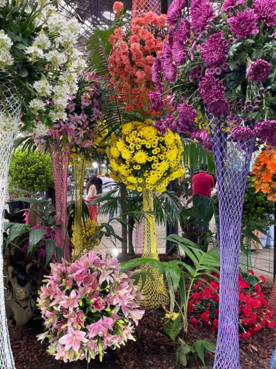 Feria de las Flores de Medellín: historia, biodiversidad y talento