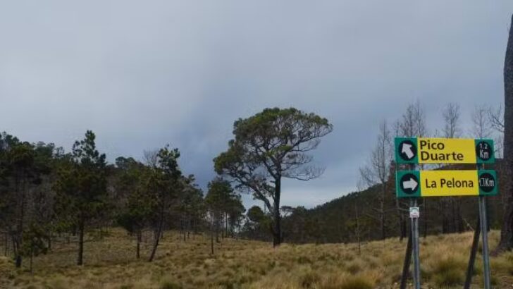 Medio Ambiente continúa combatiendo incendio en el Parque Armando Bermúdez
