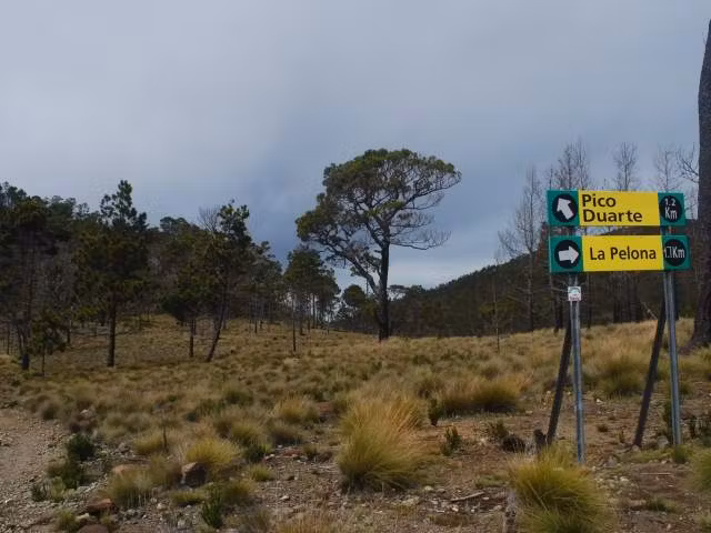 Medio Ambiente continúa combatiendo incendio en el Parque Armando Bermúdez