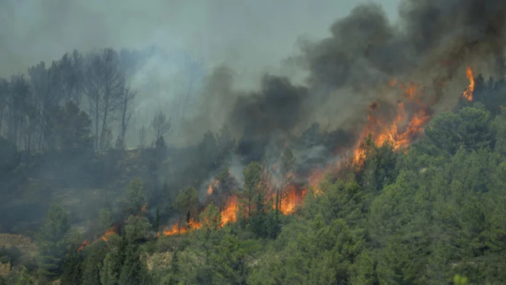 Gigantesco incendio en el sur de Francia se propaga a una velocidad récord