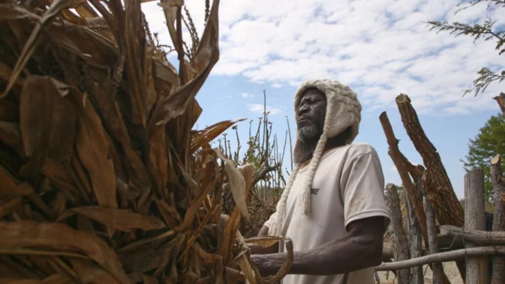 Zimbabue, una tierra exhausta: vidas al borde del colapso climático