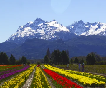 Argentina apunta a once mercados, incluida RD, para impulsar el turismo extranjero