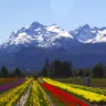 Argentina apunta a once mercados, incluida RD, para impulsar el turismo extranjero