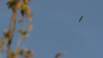 Rumania: Nueva incursión de un dron en el espacio aéreo de un país de la OTAN