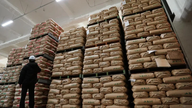 Crisis del arroz en Japón: alternativas que descontentan a los consumidores