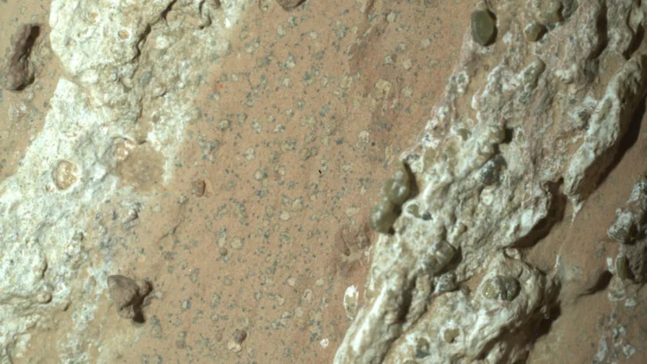 Hallazgo en Marte: rocas podrían contener señales de vida antigua, según la NASA