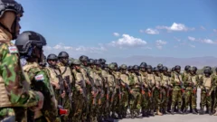 Haití aplaude resolución de la ONU que establece fuerza para eliminar las bandas armadas