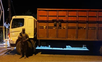 Ejército investiga el origen de 117 reses trasladadas en seis camiones en zona fronteriza
