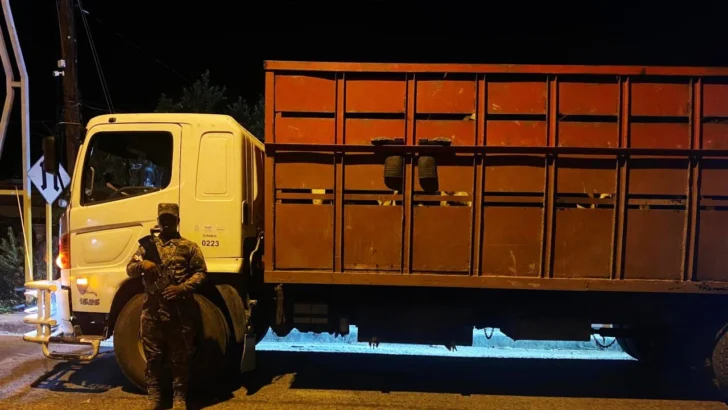 Ejército investiga el origen de 117 reses trasladadas en seis camiones en zona fronteriza