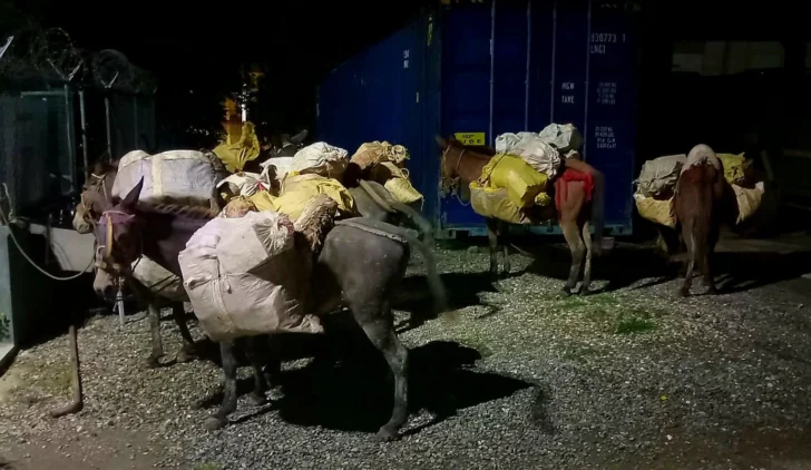 El ejército decomisa 6,000 botellas de Ron Importado sin pago de impuestos en la frontera