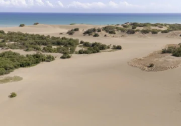 Academia de Ciencias rechaza propuesta que recortaría límites del Monumento Natural Dunas de Las Calderas Academia de Ciencias rechaza propuesta que recortaría límites del Monumento Natural Dunas de Las Calderas