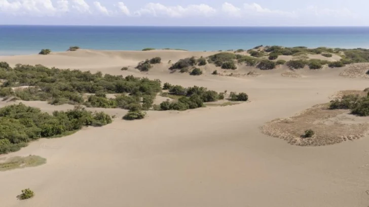 Academia de Ciencias rechaza propuesta que recortaría límites del Monumento Natural Dunas de Las Calderas