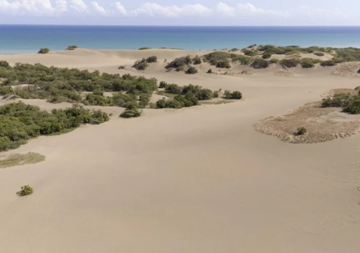 Academia de Ciencias rechaza propuesta que recortaría límites del Monumento Natural Dunas de Las Calderas