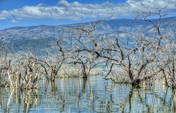 En-la-isla-Cabritos-del-lago-Comendador-actual-lago-Enriquillo-fue-el-lugar-en-que-se-realizo-el-acuerdo-entre-el-cacique-Enriquillo-y-el-capitan-Francisco-Barrionuevo En-la-isla-Cabritos-del-lago-Comendador-actual-lago-Enriquillo-fue-el-lugar-en-que-se-realizo-el-acuerdo-entre-el-cacique-Enriquillo-y-el-capitan-Francisco-Barrionuevo