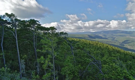  Esta abrupta Sierra del Bahoruco sirvió de escenario para la rebelión encabezada por el cacique Enriquillo.