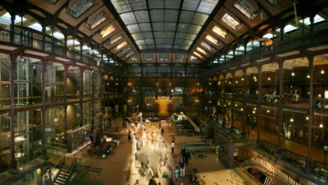 Roban piezas de oro valuadas en 600.000 euros del Museo de Historia Natural de París