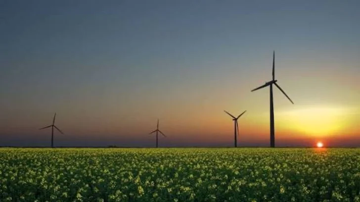 Oportunidades en el sector de las energías renovables siguen atrayendo la atención de los inversionistas extranjeros Oportunidades en el sector de las energías renovables siguen atrayendo la atención de los inversionistas extranjeros