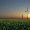 Oportunidades en el sector de las energías renovables siguen atrayendo la atención de los inversionistas extranjeros