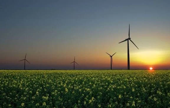 Oportunidades en el sector de las energías renovables siguen atrayendo la atención de los inversionistas extranjeros