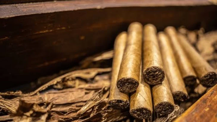 Oro en bruto, aparatos médicos, cigarros puros y cacao en grano, los principales productos de exportación Oro en bruto, aparatos médicos, cigarros puros y cacao en grano, los principales productos de exportación