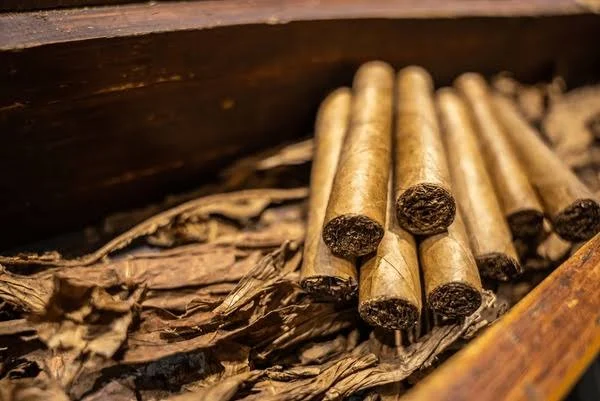 Oro en bruto, aparatos médicos, cigarros puros y cacao en grano, los principales productos de exportación