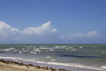 Día Mundial de las Playas: RD lucha contra el sargazo y busca aumentar certificaciones de bandera azul