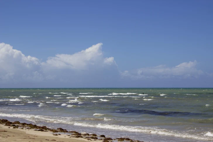Día Mundial de las Playas: RD lucha contra el sargazo y busca aumentar certificaciones de bandera azul