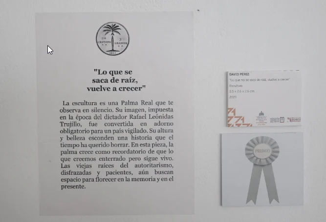 Y la ganadora es… una palma en un macetero