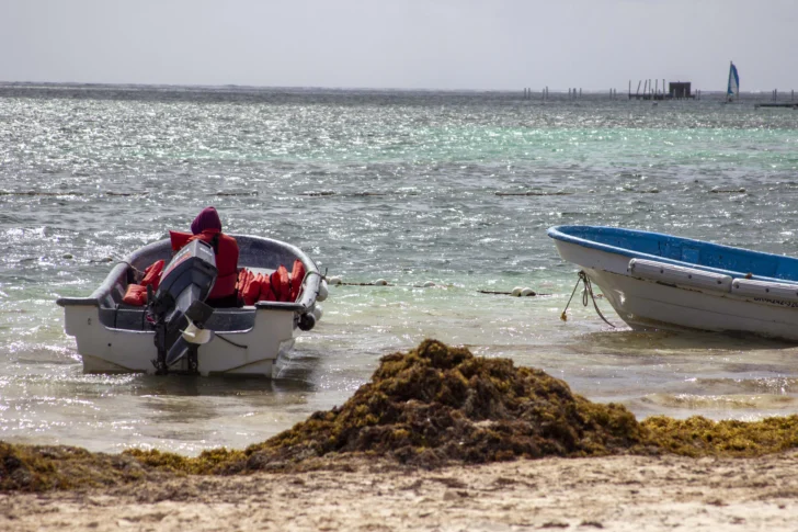 <strong>Foto ©: Osmil Crooke ACENTO Fecha: 16 junio del 2025, Punta Cana, La Altagracia, República Dominicana</strong> <strong>Foto ©: Osmil Crooke ACENTO Fecha: 16 junio del 2025, Punta Cana, La Altagracia, República Dominicana</strong>