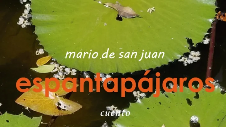 Los universos transgresores de Mario de San Juan en 