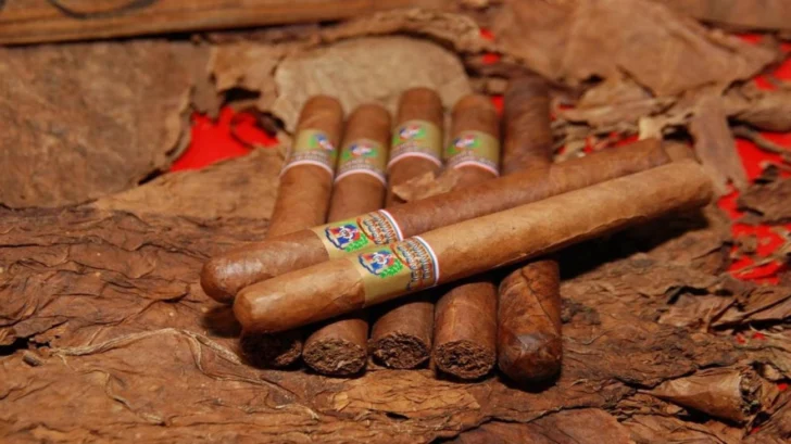 Estados Unidos, China, Alemania y Bélgica, compran tabaco dominicano