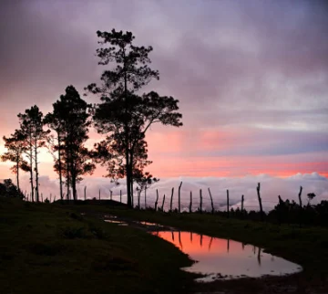 Frente a una inesperada circunstancia (Poema) Frente a una inesperada circunstancia (Poema)