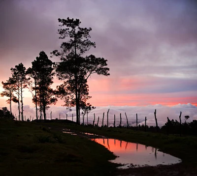 Frente a una inesperada circunstancia (Poema)