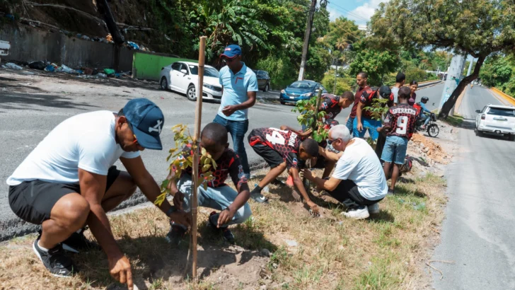 Plantan 150 árboles en avenida Paseo de los Reyes Católicos Plantan 150 árboles en avenida Paseo de los Reyes Católicos