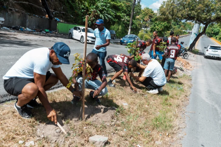 Plantan 150 árboles en avenida Paseo de los Reyes Católicos