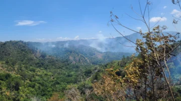 Medio Ambiente combate incendios forestales en Jánico y Barahona