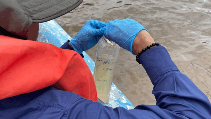 Medio Ambiente investiga muerte de peces en el río Soco