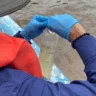 Medio Ambiente investiga muerte de peces en el río Soco