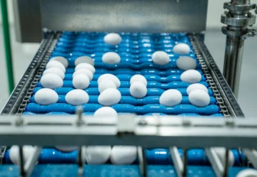 Huevo líquido pasteurizado, alternativa para la industria alimentaria en RD