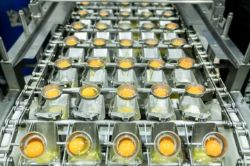 Huevo líquido pasteurizado, alternativa para la industria alimentaria en RD