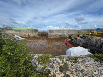 AES Dominicana reporta salida de planta AES Andrés por sargazo AES Dominicana reporta salida de planta AES Andrés por sargazo