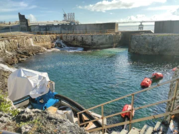 Planta AES Andrés reanuda operación tras afectación por sargazo Planta AES Andrés reanuda operación tras afectación por sargazo