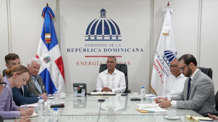 RD prevé definir recursos de tierras raras en 2025 y declarar reserva en 2026
