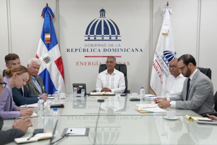 RD prevé definir recursos de tierras raras en 2025 y declarar reserva en 2026