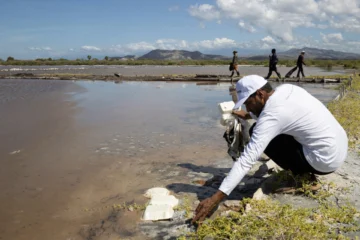  AME1037. LAS SALINAS DE BANÍ (REPÚBLICA DOMINICANA), 20/09/2025.- Una persona recoge desechos en una playa este jueves, en Las Salinas de Baní (República Dominicana). Voluntarios y pescadores se han unido para retirar desechos de pesca, como redes e hilos de nailon, que amenazan la vida de los flamencos y otras aves en la playa Las Salinas (sureste de la República Dominicana), en una de las tantas actividades convocadas en el país con motivo de la celebración este sábado del Día Internacional de Limpieza de Costas. EFE/Orlando Barría