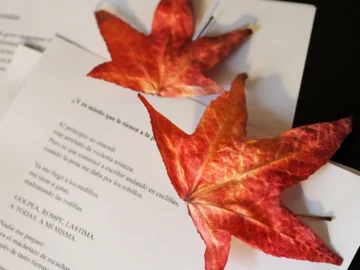 Saray Figuereo Roa realiza residencia literaria en La Coruña