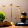Justicia dominicana refuerza su lucha para combatir los delitos ambientales