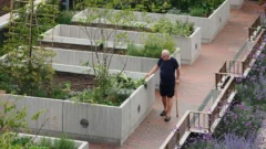 Cómo es el edificio creado para combatir la soledad que ganó uno de los premios de arquitectura más prestigiosos del mundo